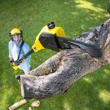 Best Lawn Dethatching Services  in Stirling, NJ