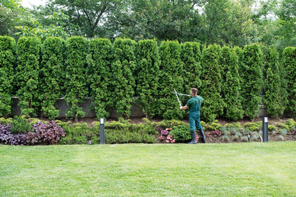 Best Tree Mulching Services  in Stirling, NJ